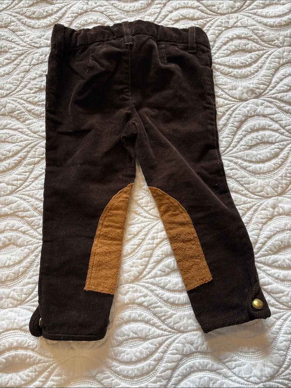 Ralph Lauren Dark Brown Corduroy Riding Pants
